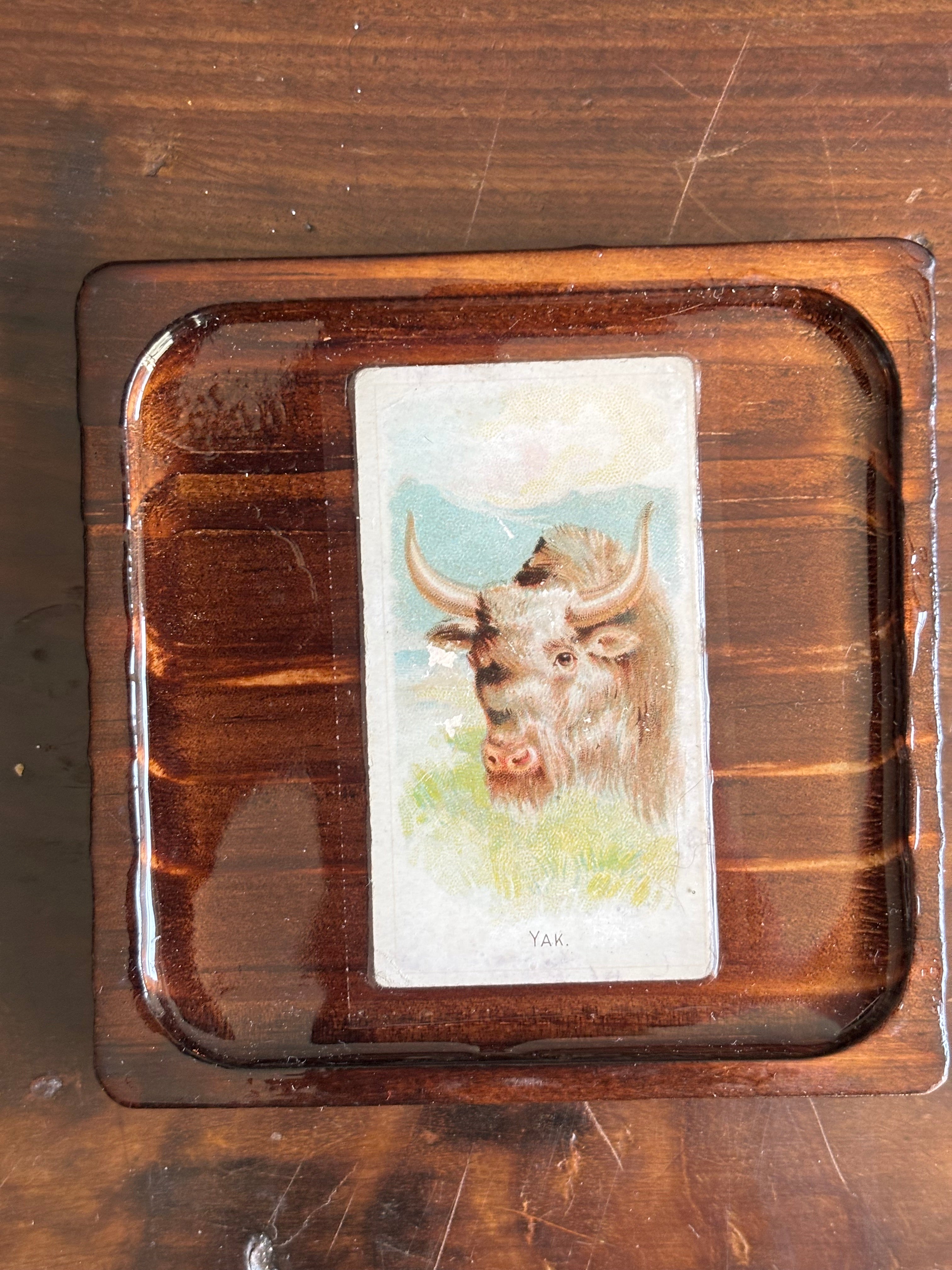Cellar Salvage Coasters: The Platinum Archive