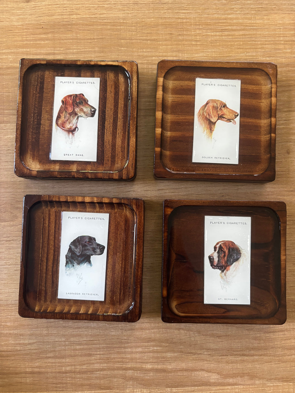 Dog Coasters