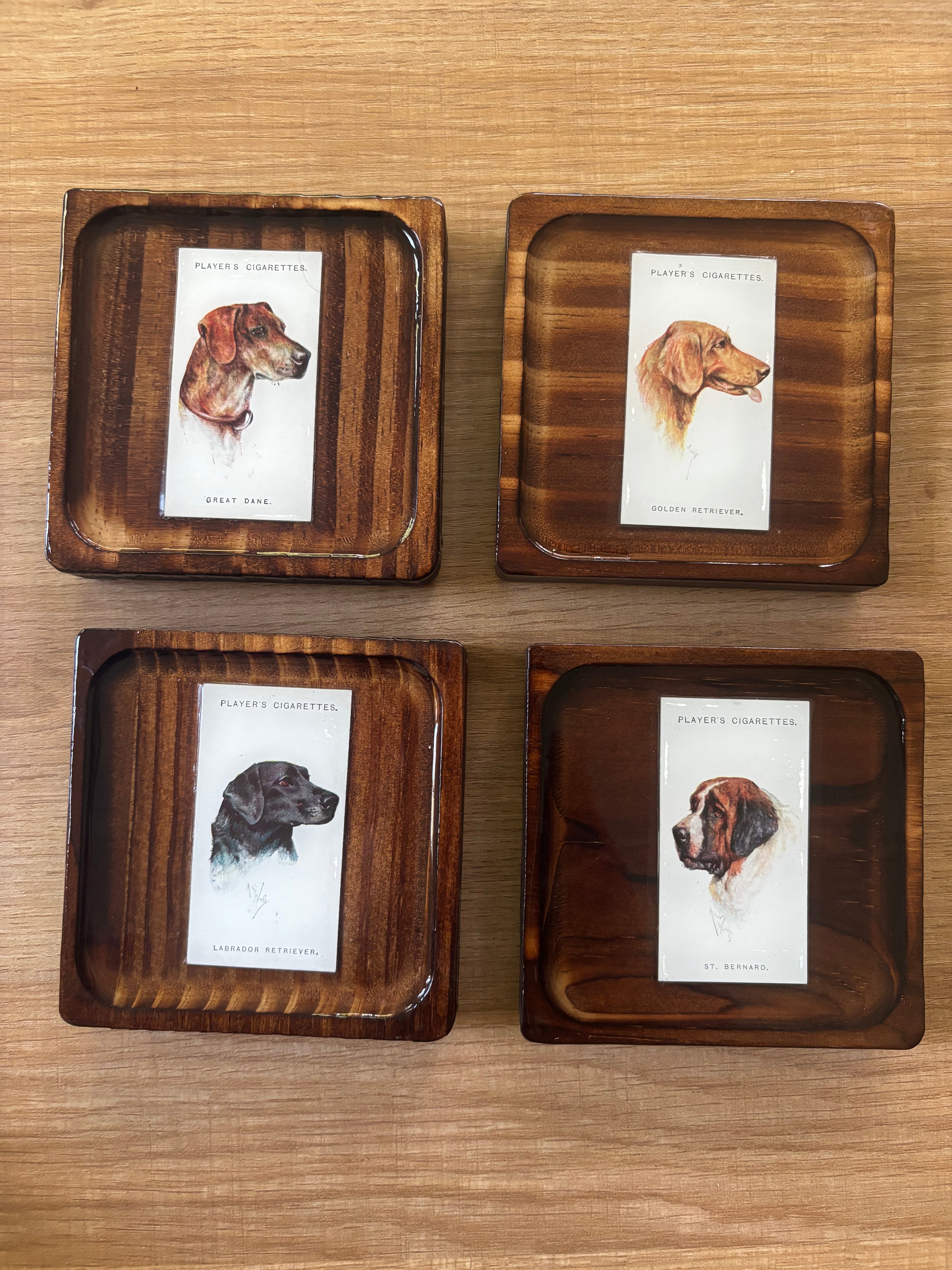 Dog Coasters