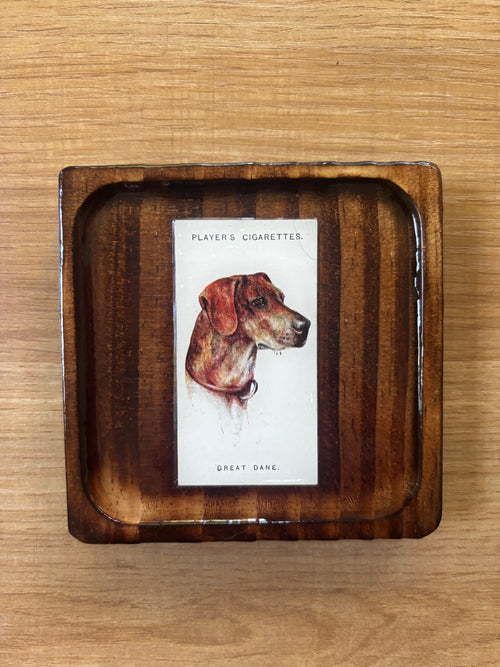 Dog Coasters