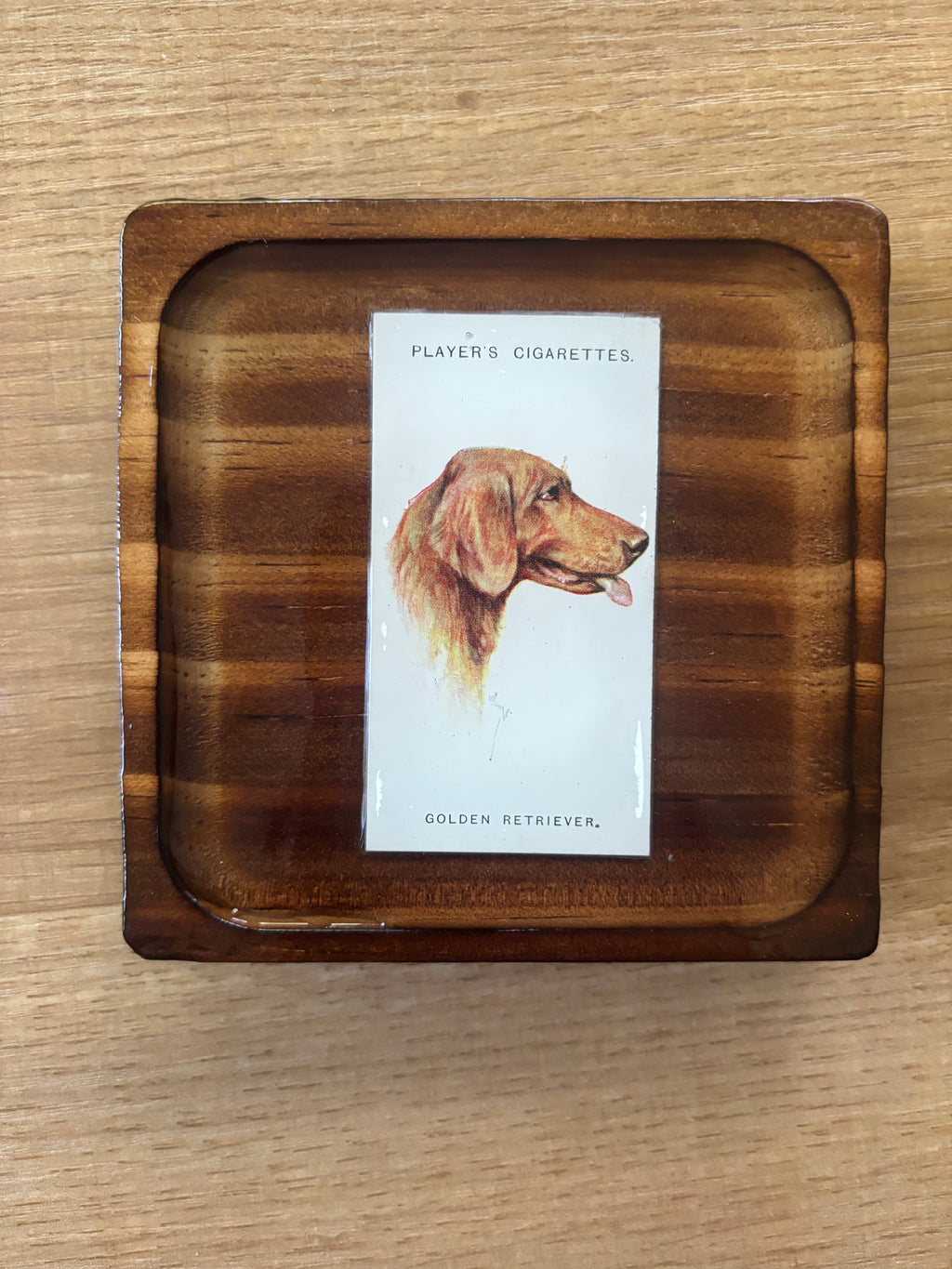 Dog Coasters