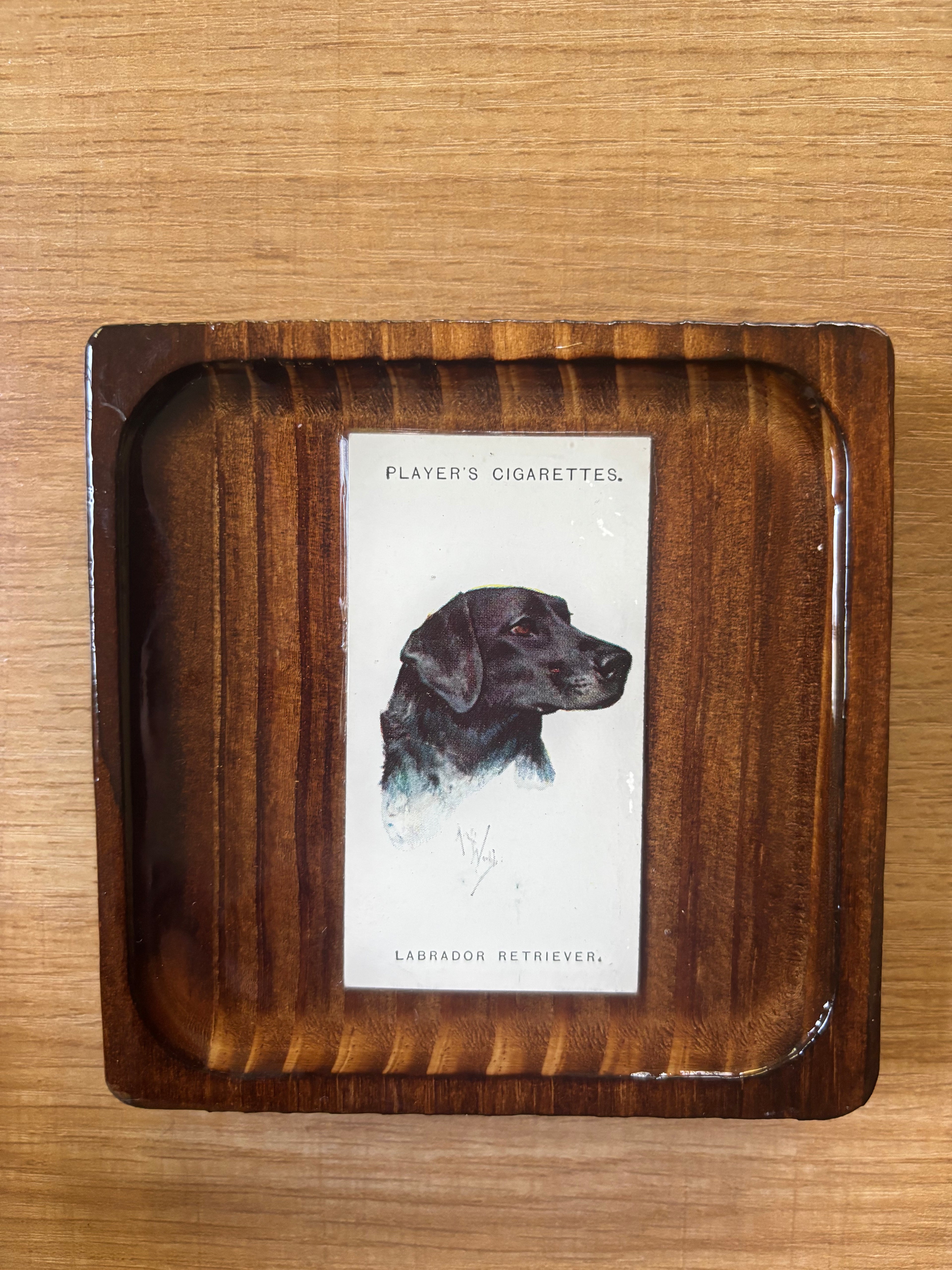 Dog Decor