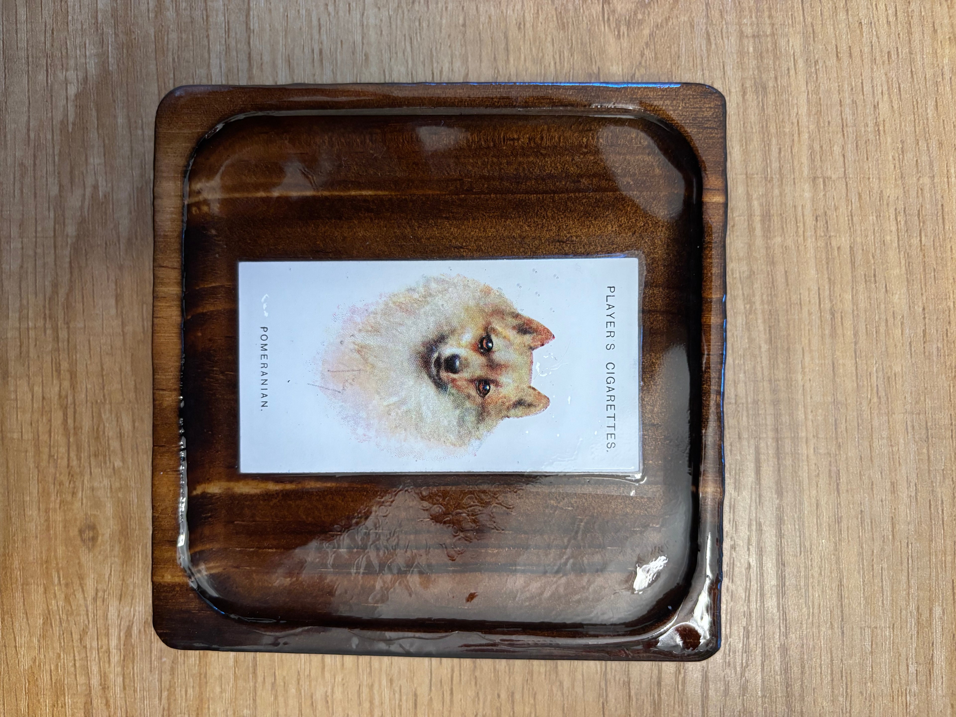 Dog Decor